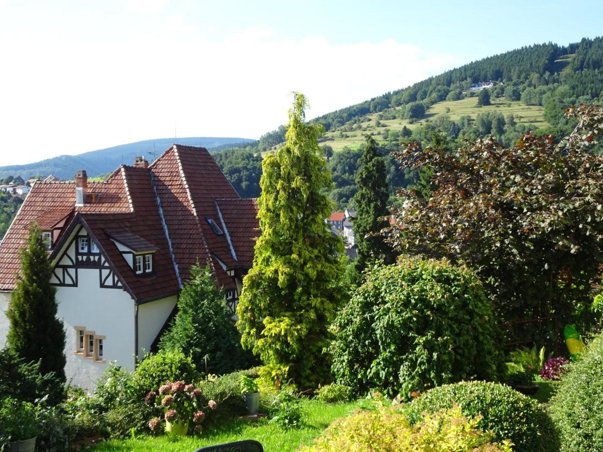 Ferienwohnung Panorama Rauenstein Buitenkant foto