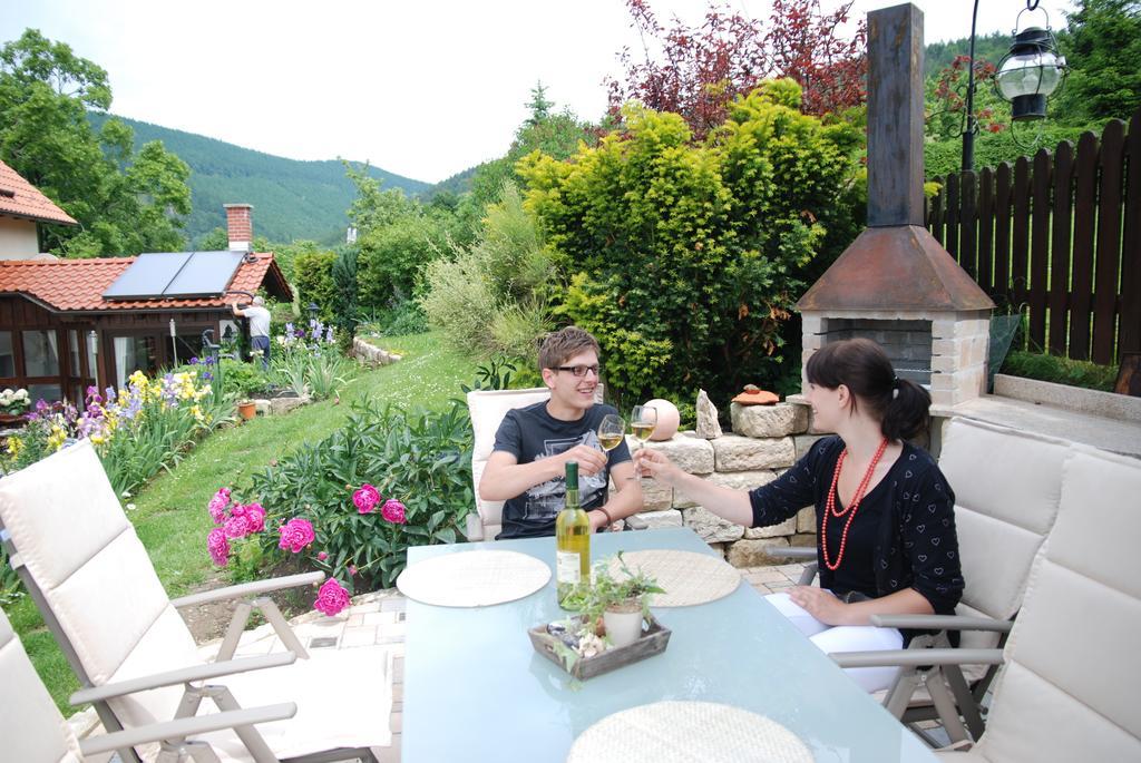 Ferienwohnung Panorama Rauenstein Buitenkant foto